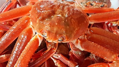 놓치면 후회!🦀 후포항 대게 솔직 후기 & 꿀팁 대방출!