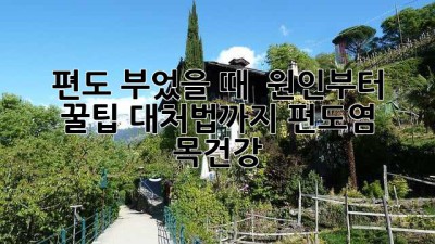 편도 부었을 때? 😭 원인부터 꿀팁 대처법까지! #편도염 #목건강